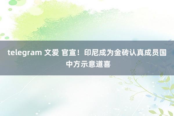 telegram 文爱 官宣！印尼成为金砖认真成员国 中方示意道喜