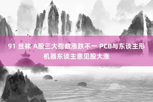 91 丝袜 A股三大指数涨跌不一 PCB与东谈主形机器东谈主意见股大涨