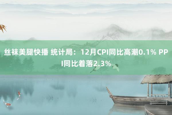 丝袜美腿快播 统计局：12月CPI同比高潮0.1% PPI同比着落2.3%