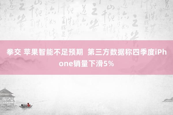 拳交 苹果智能不足预期  第三方数据称四季度iPhone销量下滑5%